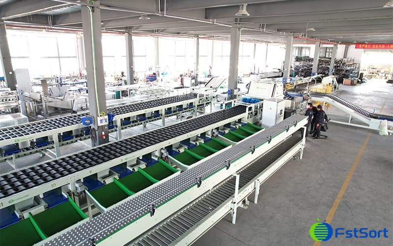 images/1688629751939mango color grading machine.jpg